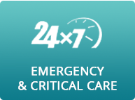 Aravali Emergency And Critical Care